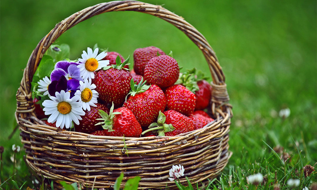 东营点呀点水果电商APP开发案例